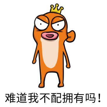 网大爆发创业潮,影视寒冬中的小暖春?