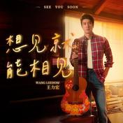 想见就能相见(王力宏)
