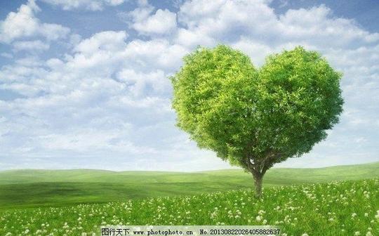 绿色环保健康风景图素材绿色环保健康风景图素材免费下载图片素材