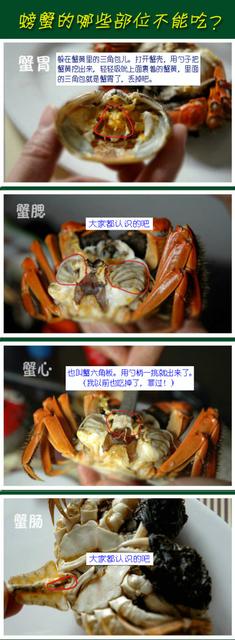 备孕男女不能吃什么肉