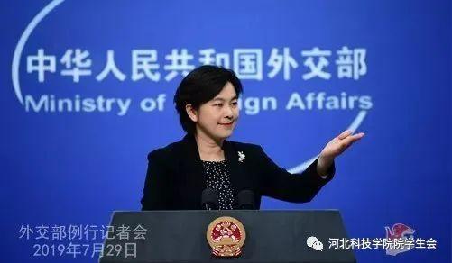 中国外交天团f4