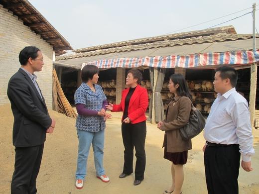 市妇联调研巾帼创业示范基地建设情况