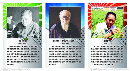 科学人物展板图片