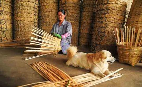 适合在农村做的小生意赚钱项目,平均一天赚300左右