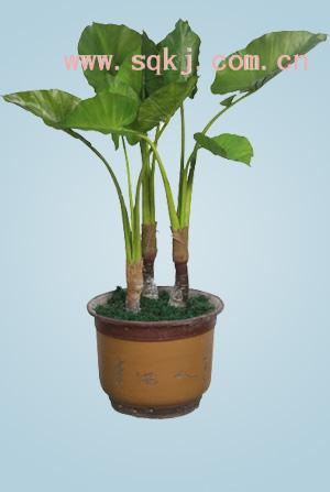 商丘优质的仿真花提供商优惠的pu仿真花哪里有卖