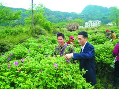返乡创业辟新径荒地开出"致富花"