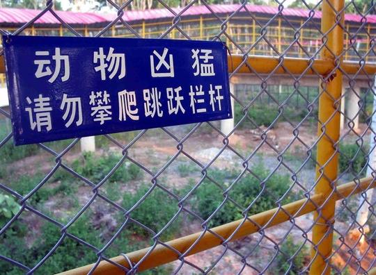 动物园护栏网-动物园围栏网
