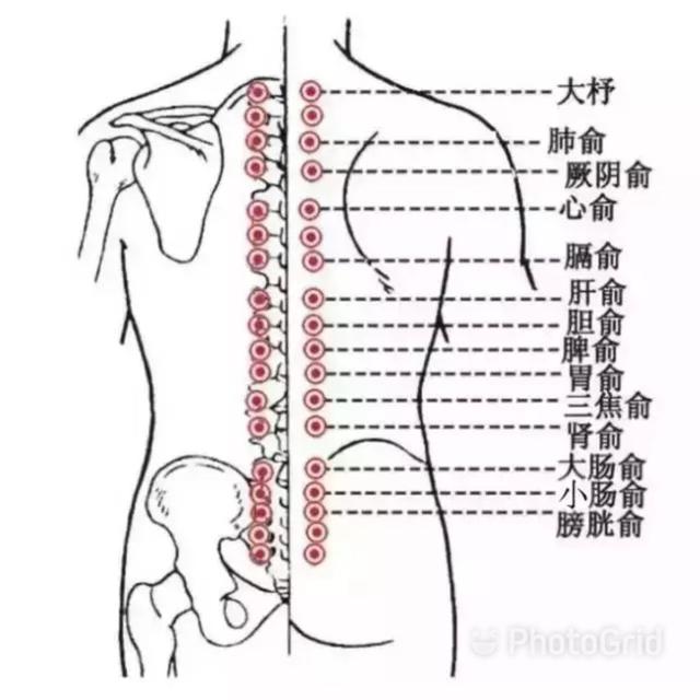 宝宝捏脊的正确手法图