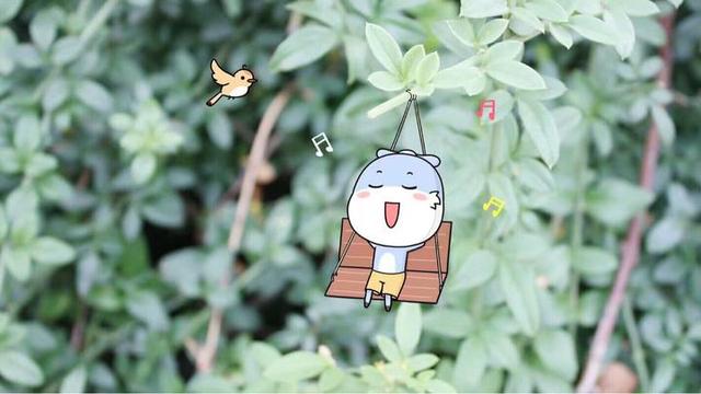一岁宝宝坐飞机要注意什么