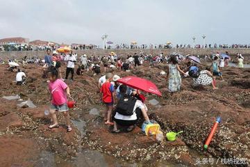 武汉市室外赶海的地方叫什么