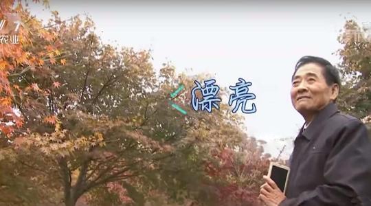 76岁患癌老人创业,误打误撞种树,年销售额多达6亿元