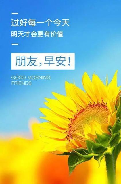 白露早安心语正能量句子