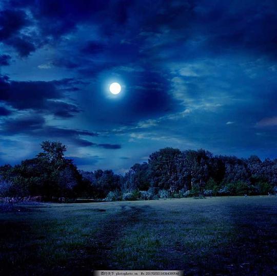 唯美夜景唯美夜景图片素材夜晚月光草原树林月亮山水风景