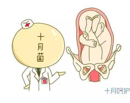 胎位不正会影响顺产吗