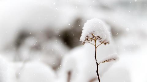 可商用视频素材之5个下雪雪景唯美孤独雪地冬天自然剪辑背景