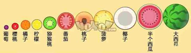 合成小芝麻的合成路线