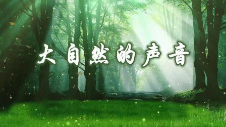 《大自然的声音》字幕版课件课文演讲朗诵led背景视频素材伴奏配乐素材