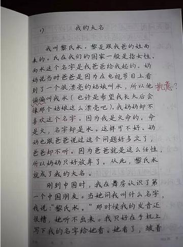 姐夫和中国人做生意希望有个翻译记者:你的作文在网络热传,成为