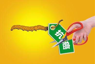 说白了,冬虫夏草就是一种中药材,药典上和中医上