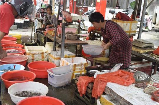 农村大集火了二十年的小生意,食客很专一,甭管农村还是城里的