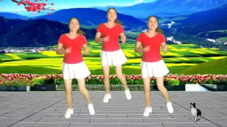 2步简单步子舞广场舞《酒醉的蝴蝶》舞蹈易学适合大众