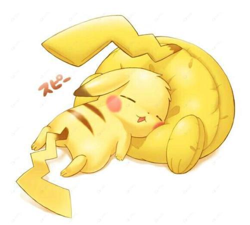 皮皮龟为什么打不开了
