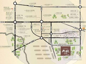 哈尔滨天悦怎么样相关长尾关键词有哪些