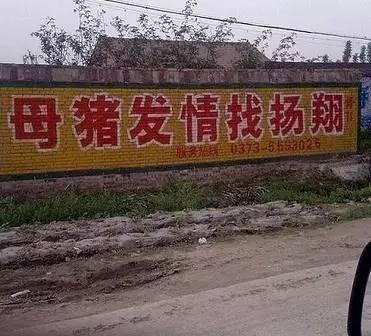 今天带大家看看那些神一般出现在农村墙壁上,狂拽炫酷吊炸天的广告.