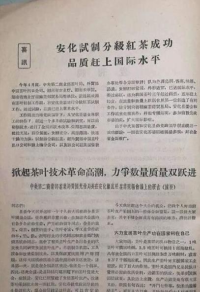 益阳茶故事:一则喜讯背后的往事