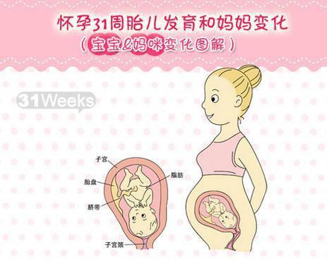 八个月宝宝生长发育指标