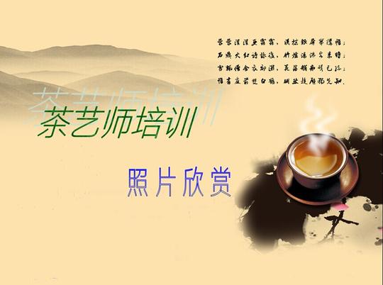 茶艺师培训照片欣赏_职业技术与创业培训_培训项目_市