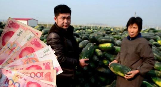 在农村春节前的暴利小生意(农村年入100万的生意)