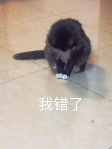 撸专用动态图搞笑表情包