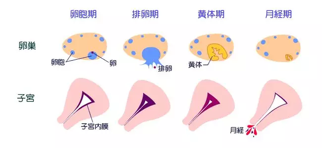 孕前务必做的10个准备