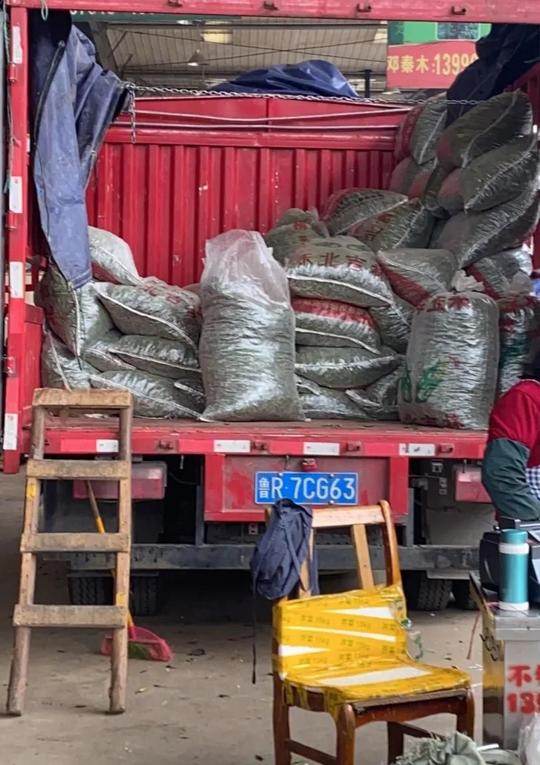 年挣五万的小生意(靠种辣椒年入50000)