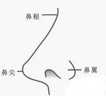 盘点有福气的鼻相,一富到老,儿孙争气