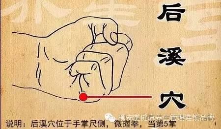 提升宝宝免疫力的药物