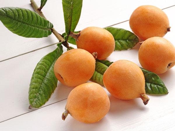 多大的宝宝能吃枇杷