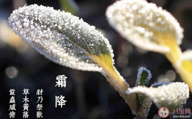 霜降时节发朋友圈说说