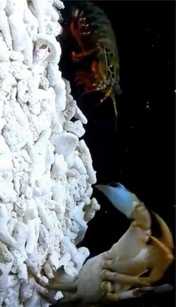 用小拳拳锤你胸口