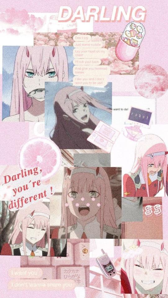 抖音网红壁纸♡承蒙关照☄