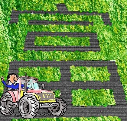在家做什么能赚钱?推荐5个前景较好的农村致富小项目