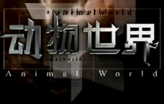 类型视频文稿课程分类军情连连看
