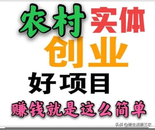 推荐这5个创业项目(1万元创业项目做什么好)-第1张图片-优客网
