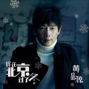 我在北京过了冬(黄品源)