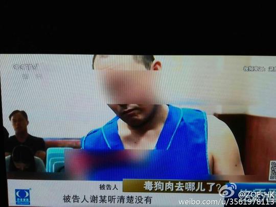 央视发声——重磅打击猫狗肉黑色产业