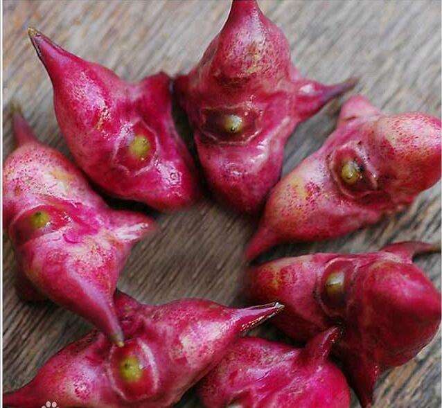 植物肉到底是什么东西