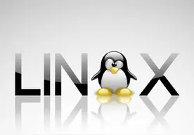linux中的重定向