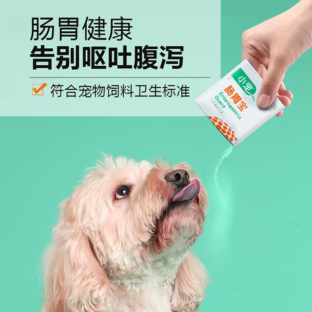 经常拉肚子该如何饮食调理肠胃