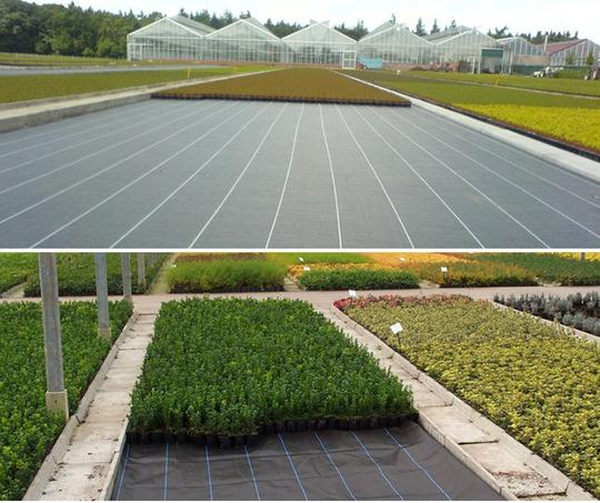 防草网防草布农业地布园艺地布抗老化除草垫布黑色除草布土工布